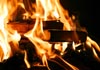Anti-Hindu books set on fire