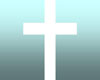 Bihar village alleges missionaries harassing people