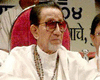 Bal+thackeray+family+tree