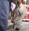 Malaysia to prosecute anti-Hindu protestors