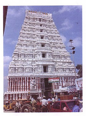 The beautiful Rajagopuram