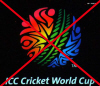 Cricket is a sport which is detrimental for the Nation