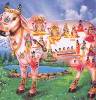 Illegal slaughter killed 110 cow breeds