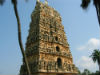 AP: 1500 years old Shri Bhavnarayan Rajagopuram collapses