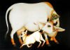 Satara : Police confiscate two trucks transporting cows for slaughtering