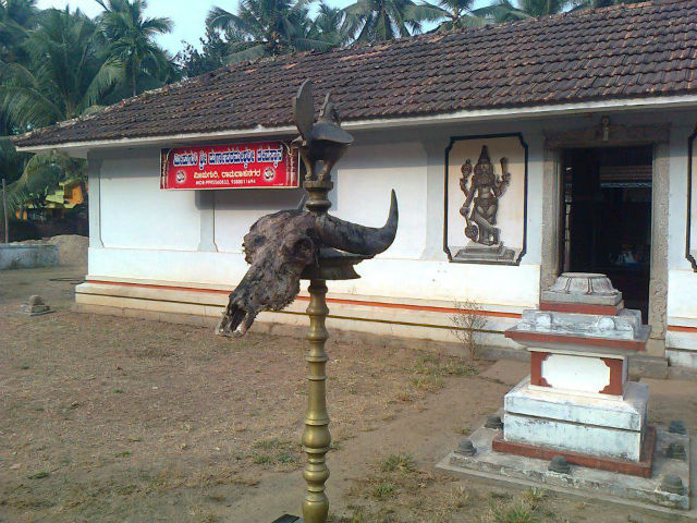 Meepuguri Durgaparameshwari temple at Kasaragod desecerated by dead buffalo skull