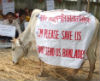 7 cops beaten up by Hindus for helping cow smugglers to escape