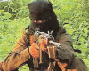 Maoists are terrorists, don't spare them