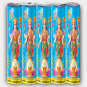 ‘Patit Pavan Sanghatana’ also joins drive against crackers with Deities’ pictures