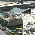 Ganga suffering due to multiple hydel projects, river plains polluted 