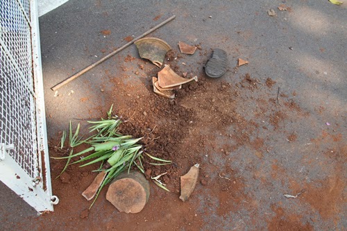 Earthen pots damaged by miscreants in ashram premises 