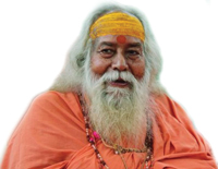 जगद्गुरु शंकराचार्य स्वामी स्वरूपानंद सरस्वतीजी महाराज