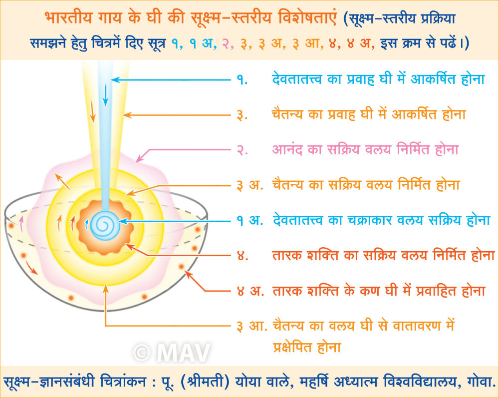cow_ghee_pr3asw1_pa_c3_c_h