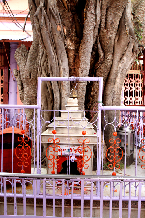 swami_samarth_paduka_madir