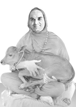 Shrimadjagadguru Shankaracharya Sree Sree Raghaveshvarbharati Mahaswami Shrimadjagadguru Shankaracharya Sree Sree Raghaveshvarbharati Mahaswami