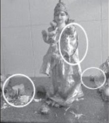 Idol of Sree Lakshmi Devi and side of ear of the statue of Eagle found damaged.