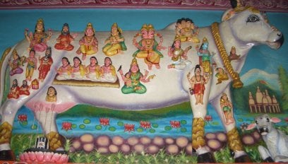 Hindus believe that cow as diety Hindus believe that cow as diety