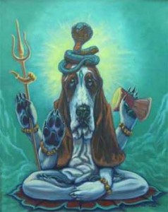 shiva_dog
