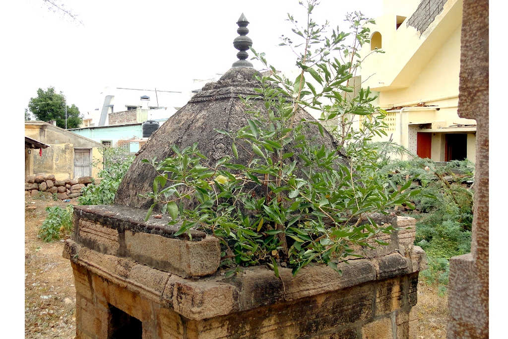 DSC07960