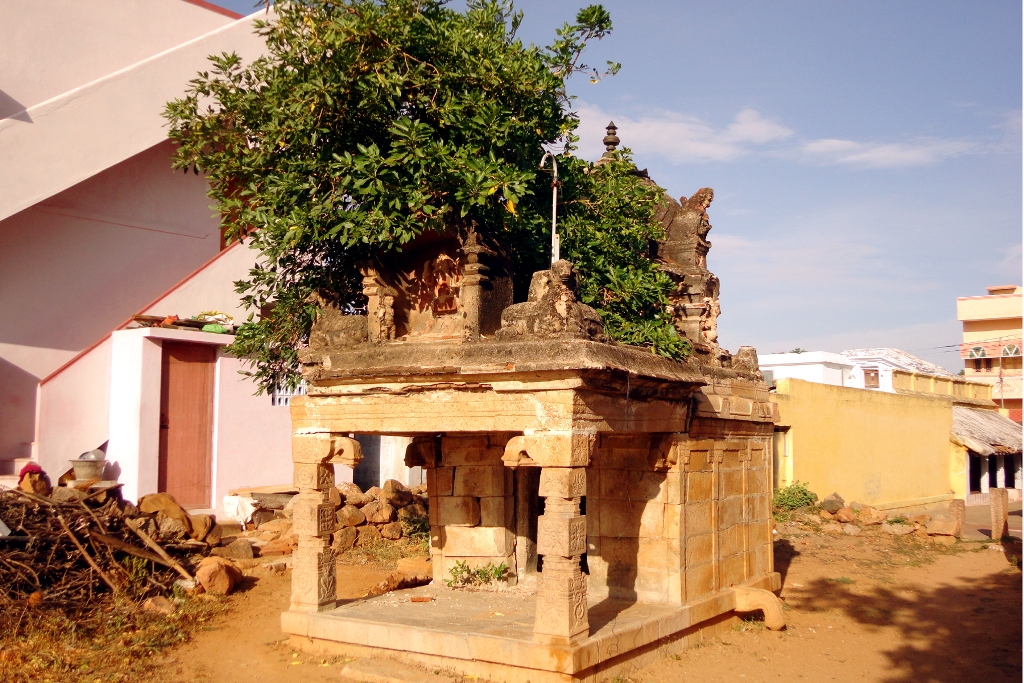 DSC08001