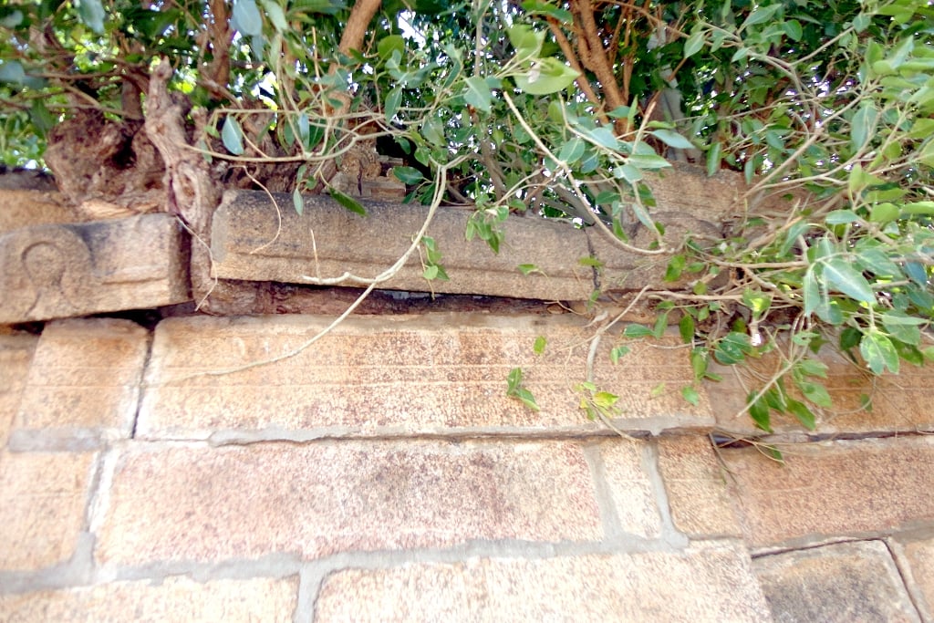 DSC08006