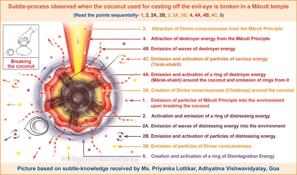 casting-of-eye-coconut3
