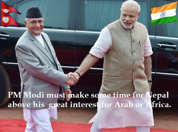 modi-oli